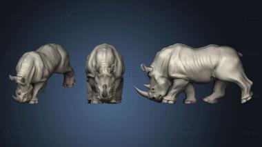 3D model Rhino (STL)